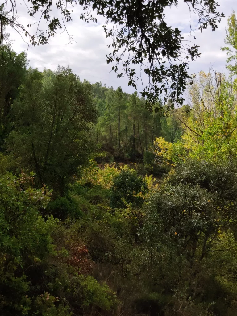 Sierra de Huelva