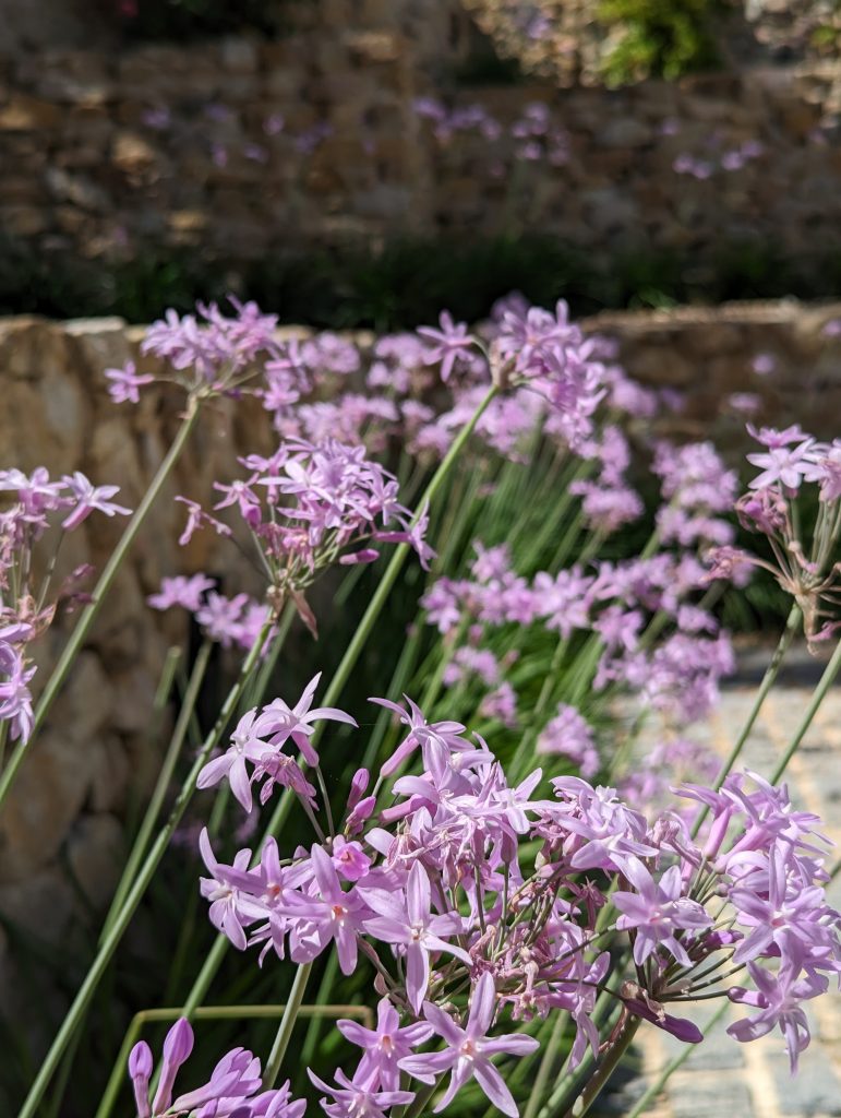 Turbalgias