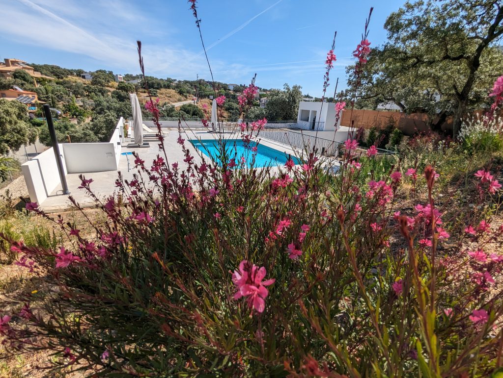 Piscina 3