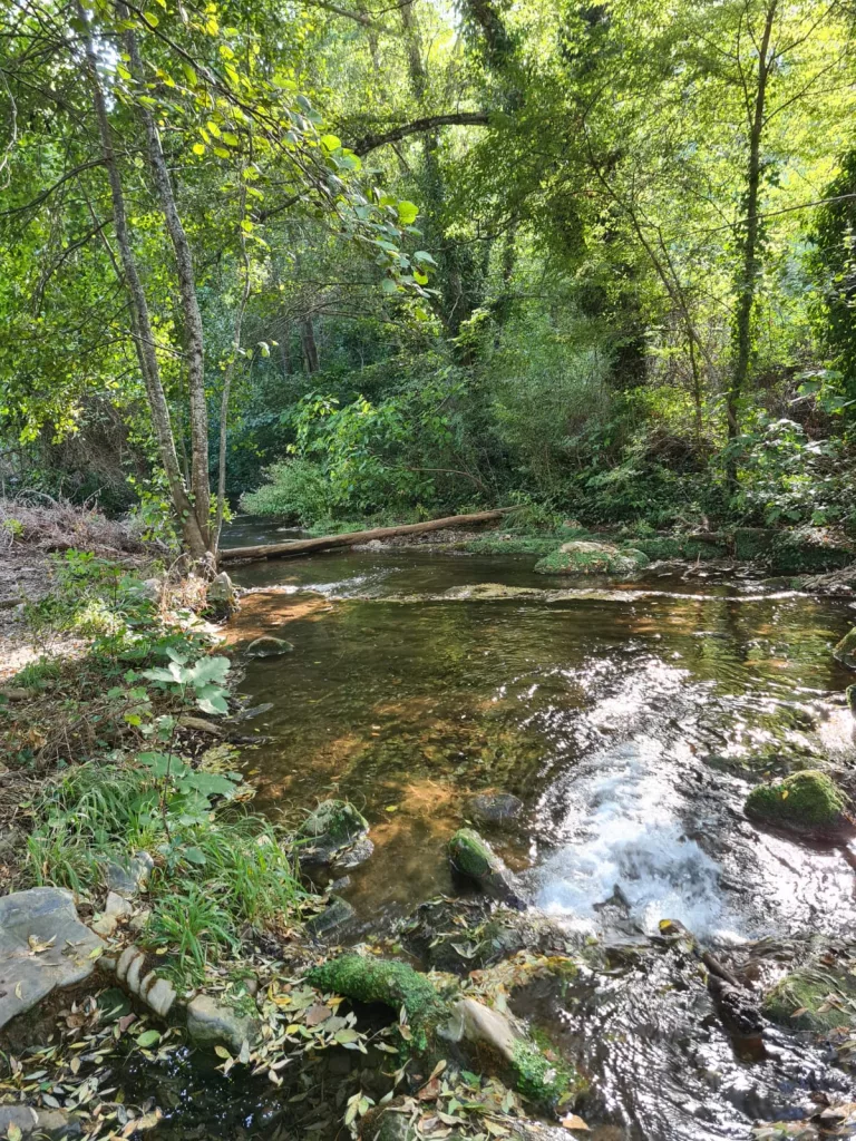 Sierra Norte de Sevilla con PrimeStays.es