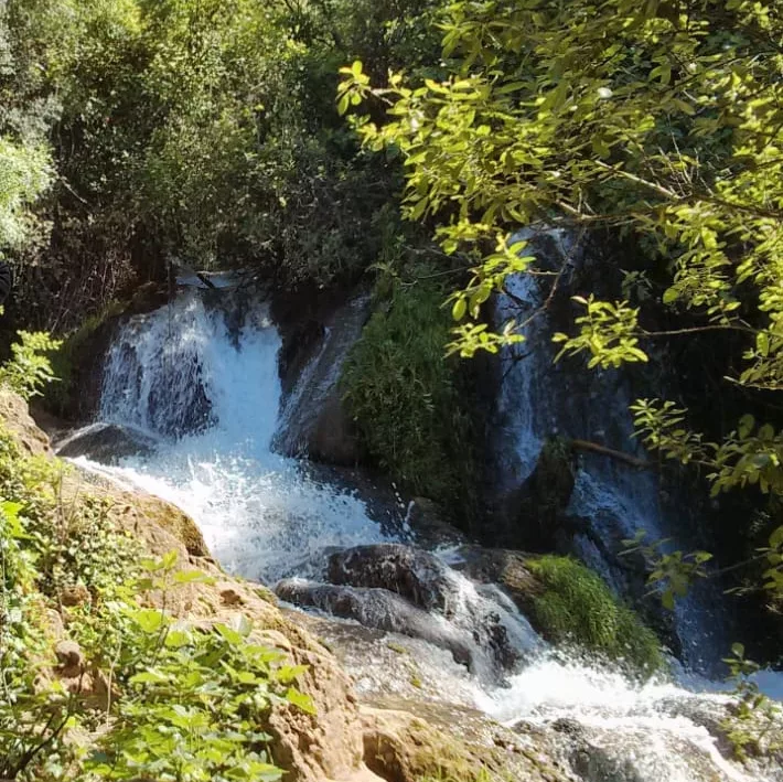 Descubre la Sierra Norte de Sevilla con primestays.es: Una Ruta Inolvidable desde Las Pajanosas hasta la Isla Margarita